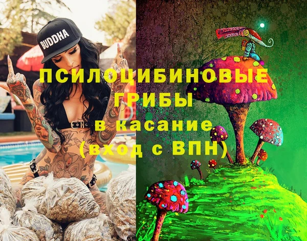 индика Вяземский