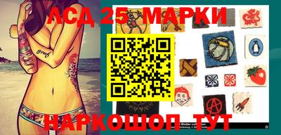 крисы Берёзовский