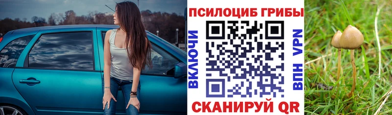 Галлюциногенные грибы GOLDEN TEACHER  наркотики  Отрадное 