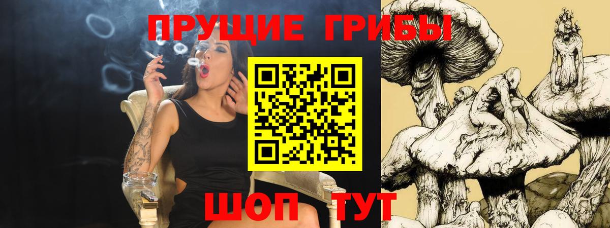Отрадное  Галлюциногенные грибы прущие грибы  Вход с VPN 