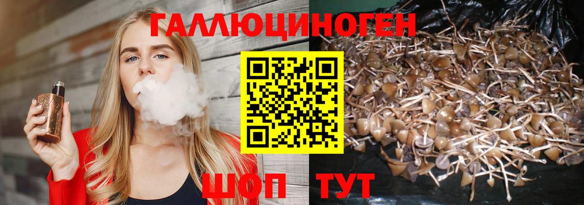 Галлюциногенные грибы мухоморы Отрадное