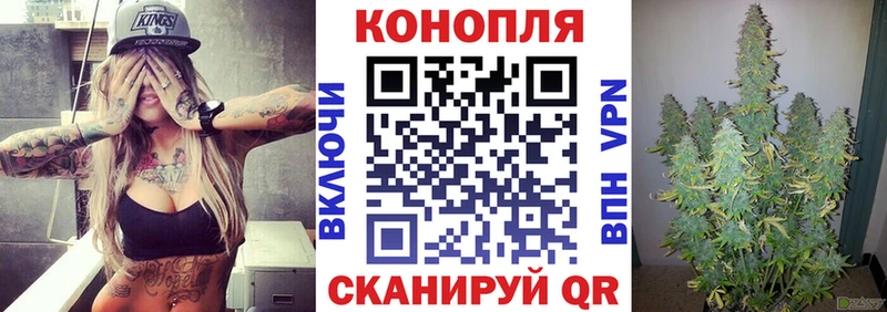 МАРИХУАНА сатива Отрадное